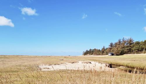 un campo con una zanja en medio de un campo en Knaldhytten en Blåvand