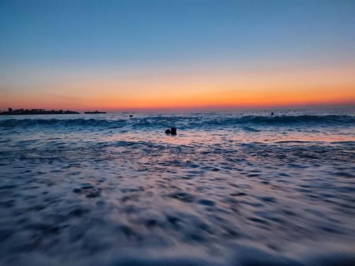 Phong cảnh thiên nhiên gần chỗ nghỉ nhà dân