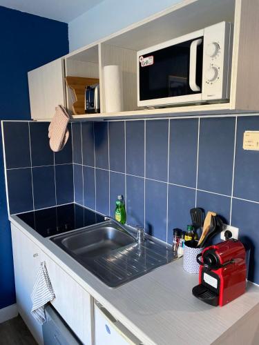 une cuisine avec un évier et un micro-ondes dans l'établissement Joli studio Camargue Petit Rhône Arles, à Arles