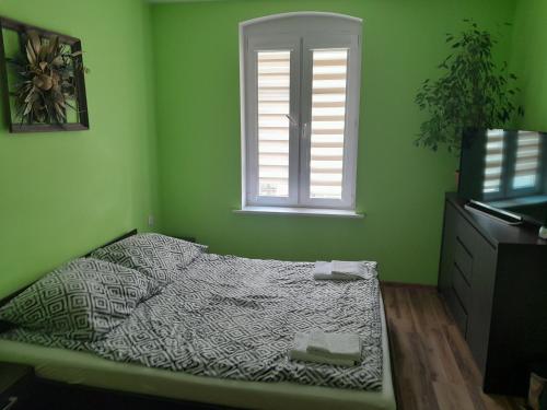 a green bedroom with a bed and a window at Hostel Tip Top in Gdańsk
