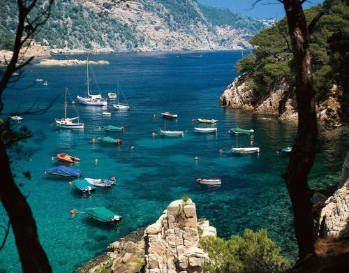 a group of boats in a large body of water at Sant Gaieta H in Begur