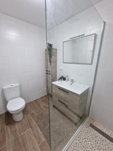 a bathroom with a toilet and a sink and a shower at Sant Gaieta H in Begur