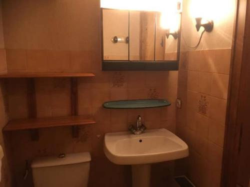 une salle de bain avec un lavabo, des toilettes et un miroir dans l'établissement T1 Proche Grand Bornand Et Lac, à Les Villards-sur-Thônes