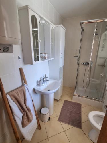 un bagno con lavandino, doccia e WC di Holiday house Marea with jacuzzi a Crikvenica