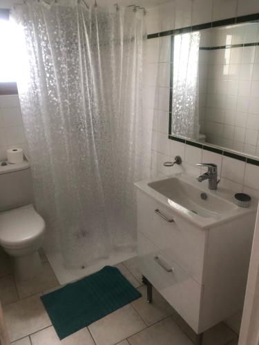 ein Badezimmer mit einem Waschbecken, einem WC und einem Spiegel in der Unterkunft Gîte du Domaine de Coutancie in Prigonrieux