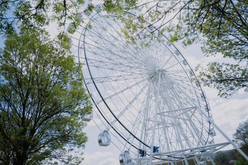 a large ferris wheel in a park with trees at Terra Apartments in Vrnjačka Banja