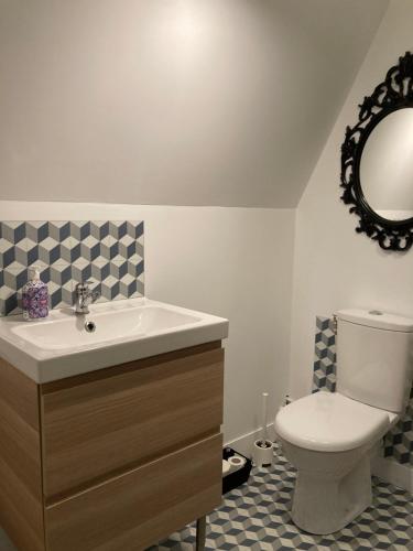a bathroom with a toilet and a sink and a mirror at Maison d'hôtes Il était une fois in Pont-lʼÉvêque