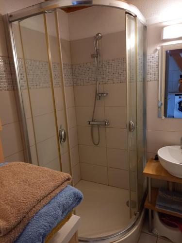 La salle de bains est pourvue d'une douche et d'un lavabo. dans l'établissement Talaris La Palmyre, aux Mathes