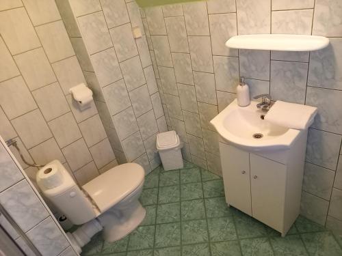 a bathroom with a toilet and a sink at Tatrzańska Panorama in Gliczarów