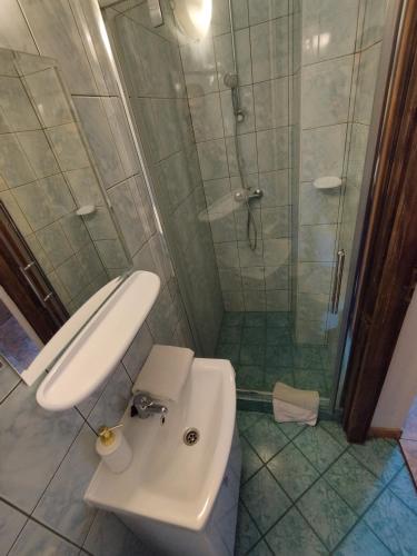 a bathroom with a sink and a shower at Tatrzańska Panorama in Gliczarów