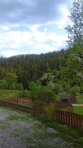 a wooden fence in a field with trees in the background at Villa Filiak in Yablunytsya