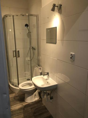 a bathroom with a shower and a toilet and a sink at Wąsik in Krakow