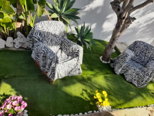 casa relax – Photos 3