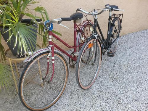two bikes parked next to each other next to a plant at UNE CHAMBRE EN VILLE in L'Isle-sur-la-Sorgue