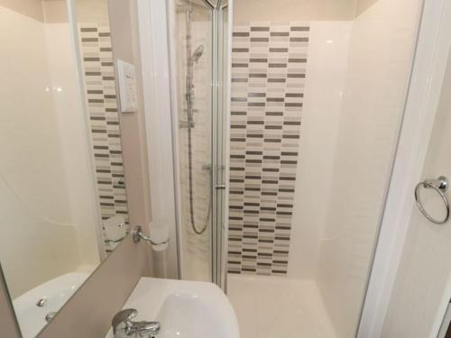 uma casa de banho com um chuveiro, um WC e um lavatório. em Buttercup Lodge em Saltburn-by-the-Sea