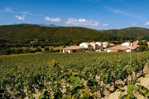 a vineyard with a house in the middle of a field at Villa Carletti à 3min des plages (7pers. - 3ch.) in Oletta