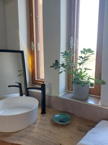 a bathroom with a white sink and a potted plant at The Roof by Barefoot in Tunis in Tunis