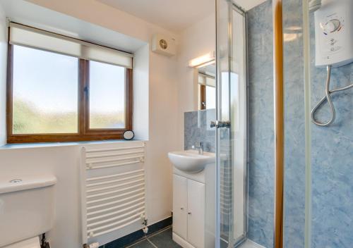een badkamer met een wastafel en een douche bij Brynmeurig in Elerch