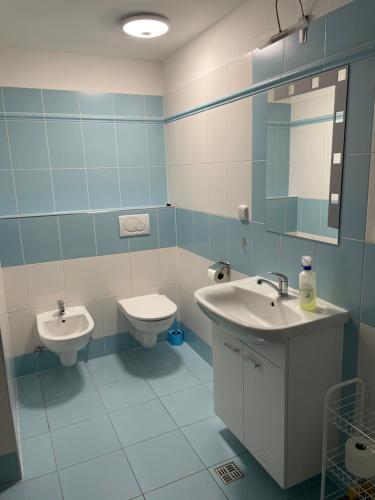 uma casa de banho com um lavatório, um WC e um espelho. em Penzion Pod Zámkem em Zruč nad Sázavou