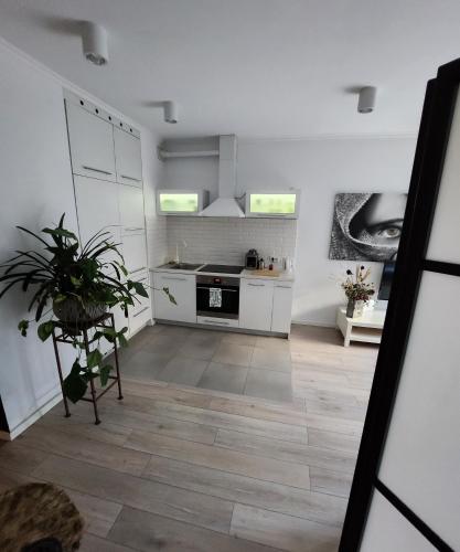 a kitchen with white cabinets and a wooden floor at Twoj Czas in Kraków