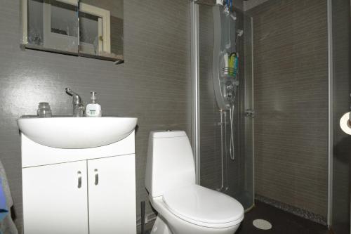 y baño con aseo, lavabo y ducha. en Nice independent holiday apartment on Saro en Särö