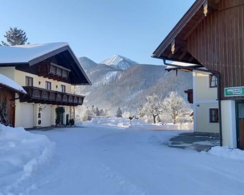 a building with snow on the ground in front of it at Unterwöhrlehen in Faistenau