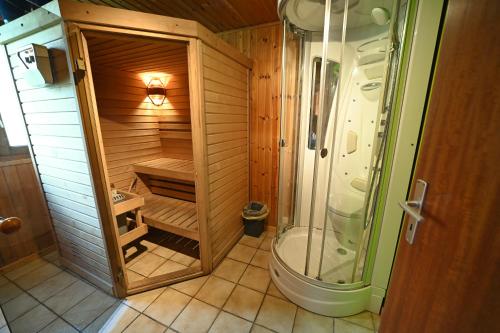 mała łazienka z prysznicem i toaletą w obiekcie Gite Ard'zen w mieście Noiseux
