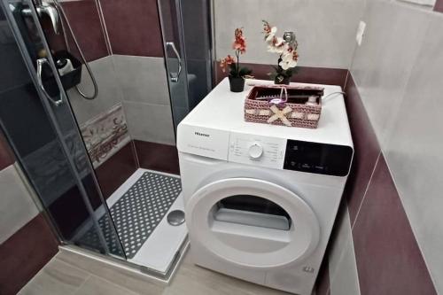 a bathroom with a washing machine with a laptop on it at Cozy Home Away from Home in Tarquinia
