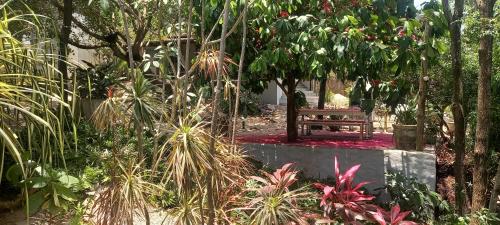 a bench sitting in a garden with plants at Stay Cool Pipa in Pipa