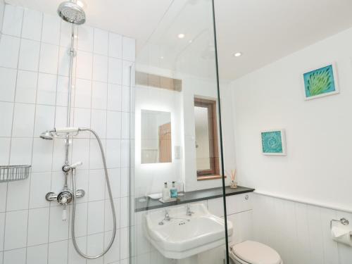 a bathroom with a shower and a toilet and a sink at Beech Barn The Rookery in Kingsbridge