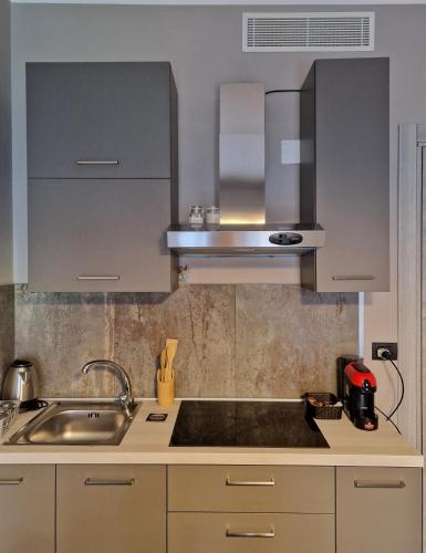 a kitchen with a sink and a stove top oven at Mister Barolo Apartments Langhe in Novello