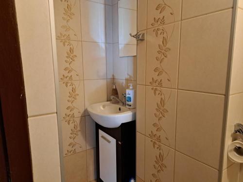 un piccolo bagno con lavandino e specchio di Pod czereśniami a Tolkmicko