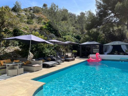 a swimming pool with a pink swan in the water at Gîte des Estelles "Alixia" in Cavaillon