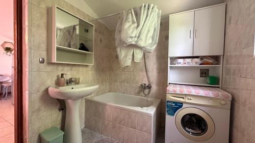 een badkamer met een wastafel en een wasmachine bij Apartment Murva in Premantura