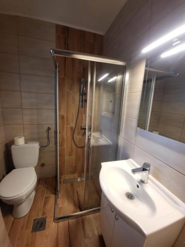 a bathroom with a shower and a toilet and a sink at Apartman MatiNik in Mionica