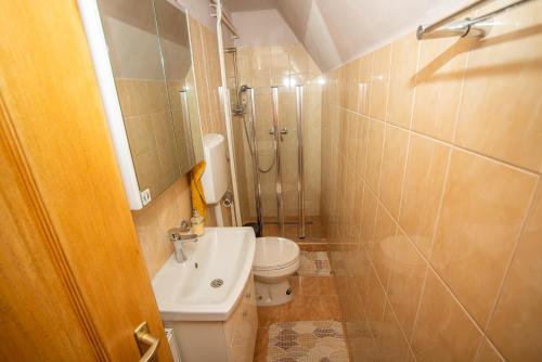 a bathroom with a shower and a toilet and a sink at Otthon A Pagonyban in Mátraszentimre