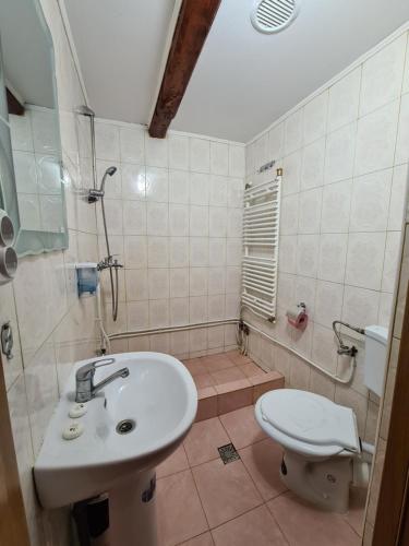 サルミゼゲトゥサにあるPensiunea Anidorのバスルーム(洗面台、トイレ付)