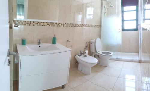 een badkamer met een toilet, een wastafel en een douche bij Casa Little Venice in Puerto de Mogan in Puerto de Mogán