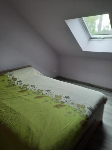 a bedroom with a green bed with a window at Chambres circuit 24 h du Mans in Cérans-Foulletourte