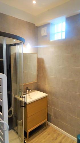 une salle de bain avec un lavabo et un miroir dans l'établissement Appartement La Rotonde, à Montluçon