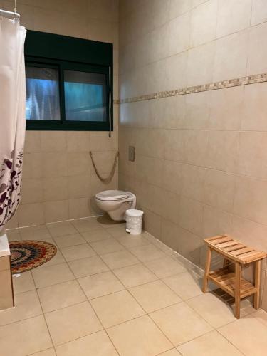 a bathroom with a toilet and a window at Mountainside experience in Amirim in Amirim
