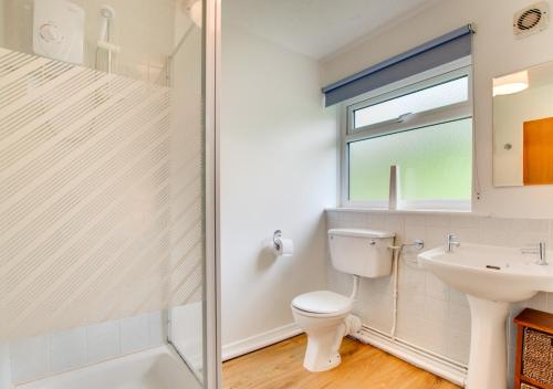 a bathroom with a toilet and a sink and a shower at Swn y Nant in Dinorwic