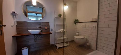 a bathroom with a sink and a toilet and a mirror at Landhaus Bondzio in Langen Brütz