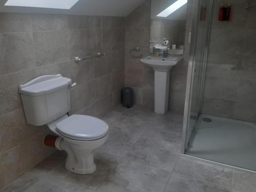 a bathroom with a toilet and a shower and a sink at Killossy Lodge in Naas