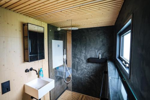 La salle de bains est pourvue d'un lavabo et d'une douche. dans l'établissement Tiny House Pioneer 19 Zur Meerseite - Green Tiny Village Harlesiel, à Carolinensiel