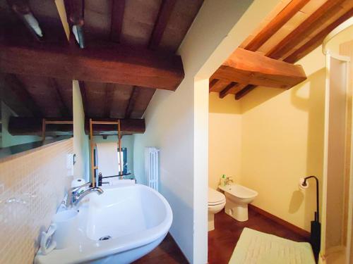 a bathroom with a white sink and a toilet at B&B Il Casolare Di Bonci in Santa Maria a Monte