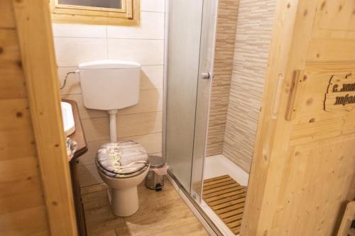a small bathroom with a toilet and a shower at Casale dell'Arvo in Lorica