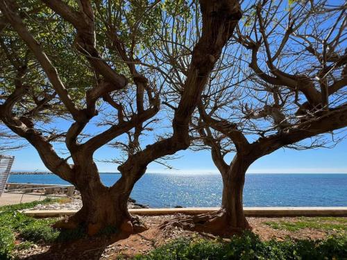 two trees in front of a body of water at Mare Azzurro Appartamento in Sciacca