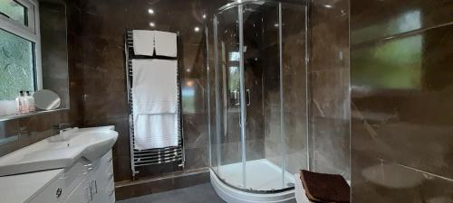 a bathroom with a shower and a toilet and a sink at Fox Meadow Peacehaven Farm in Battle