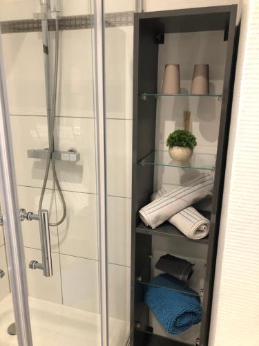 une cabine de douche en verre avec des serviettes et une plante dans l'établissement Le nid de Mathilde- 3 étoiles, à Colmar